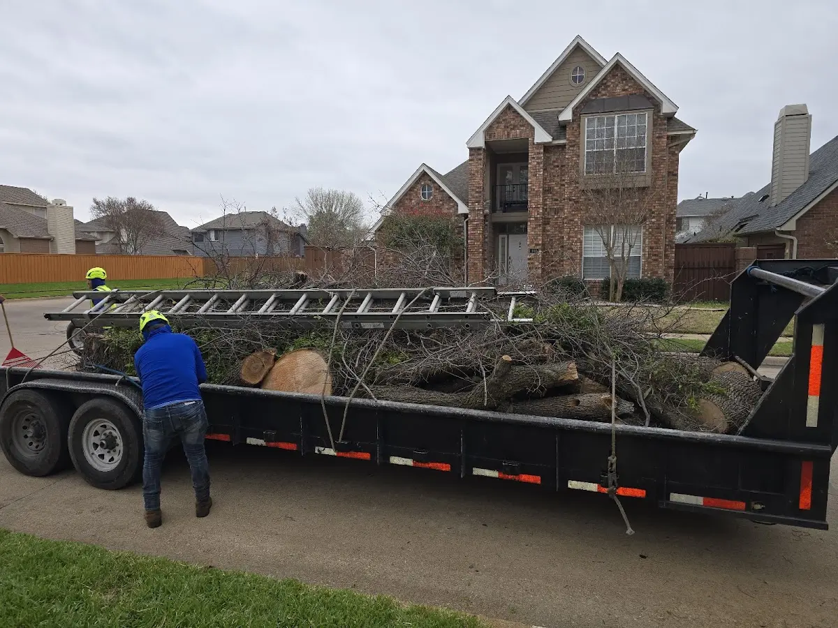 Expert Tree Removal with proper safety equipment in Irwin